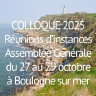 Vignette_save_the_date_colloque_2025.png