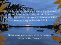 ILICO vous souhaite de bonnes f&ecirc;tes de fin d'ann&eacute;e