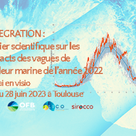 INTEGRATION : Atelier scientifique sur les impacts des vagues de chaleur marine de l’année 2022