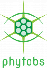 Logo_Phytobs_RVB_M.png