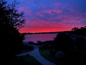 IMG_6235.jpeg