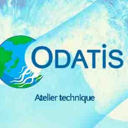 ODATIS atelier technique Webinaire #1 - Possibilité d’archivage de données de CO2/pH Marin