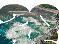 Rapport d'activité de l'IR ILICO 2020-2025