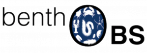 image benthobs_logo.png (87.2kB)
Lien vers: https://www.benthobs.fr/