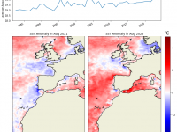 Vague de chaleur en Méditerranée et Altantique Nord-Est, été 2023