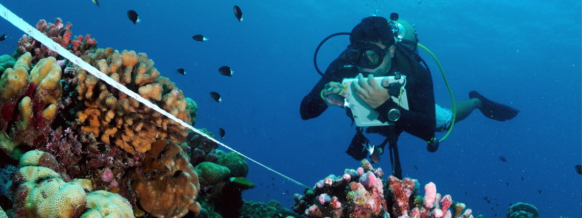 Comptage de poissons au sein des récifs coralliens lors d'une campagne de suivis en Polynésie française © Réseau CORAIL