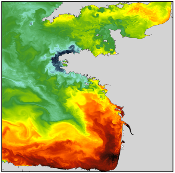 CROCO simulation image